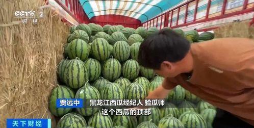 国内吃瓜,揭秘国内吃瓜群众的热门话题与幕后真相