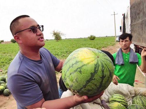 湖州吃瓜达人照片,瓜界新宠，瓜香四溢的美食探索之旅