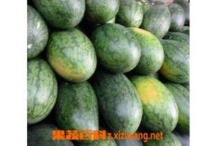 花吃美少女吃的什么瓜,花吃美少女的甜蜜瓜果盛宴