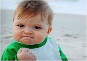 吃瓜白山,一场别开生面的乡村盛宴