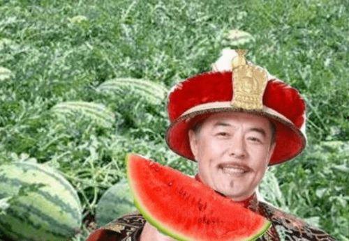 路十三吃瓜,揭秘娱乐圈背后的那些事儿