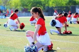 校园吃瓜解说,那些你不知道的幕后故事