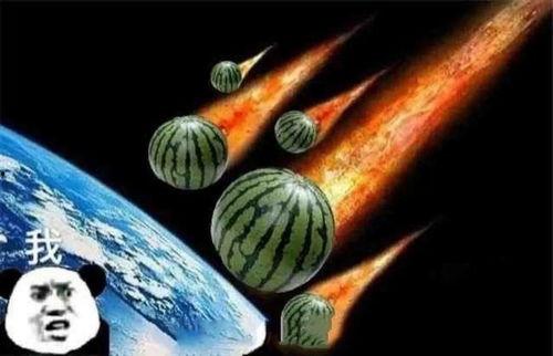 中秋吃大瓜,大瓜盛宴共享欢乐时光