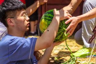 椰椰直播吃瓜,瓜果飘香，美食盛宴